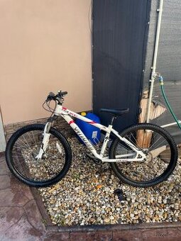 Horské kolo Specialized