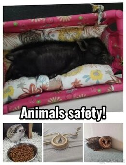 Nechtěné zvíře? My ho rádi přijmeme