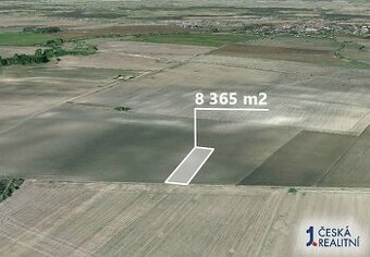 Pole 8 365 m², Podíl 26 % o výměře 2 138 m²