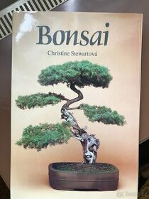 BONSAI od Christine Stewartové - 1