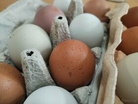 Domácí slepičí vajíčka - vejce z volného výběhu