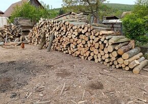 Akce Palivové dřevo tvrdé