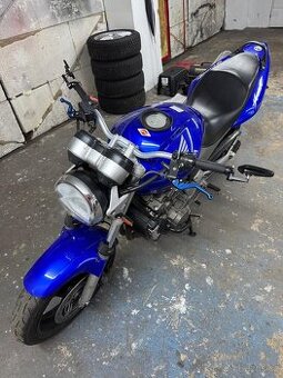 Honda Hornet