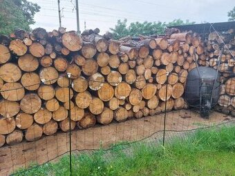 Prodám 30 m³ dřeva v kulatině s dovozem zdarma