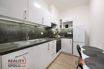 Pronájem, byty/1+kk, 42 m2, Na Jíkalce 3051/19, Jižní Předmě
