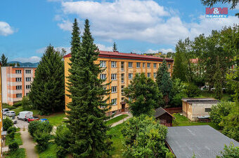 Prodej bytu 2+1, 50 m², Děčín, ul. Kamenická