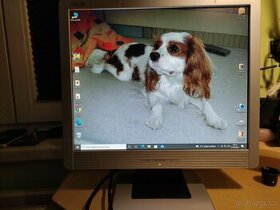 monitor zn: ASUS MM17D 17"