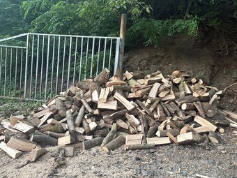 Štípané Palivové Dřevo (Tvrdé  Jasan ) - 1