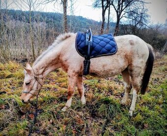 Klisna APH / APPA (rezervace do 23.11.)