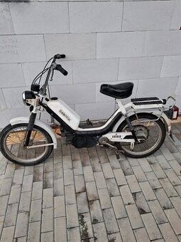 Babeta 210 Korado Jawa 05