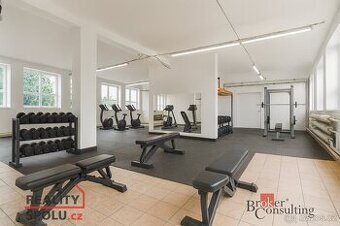 Pronájem, komerční/obchodní prostory, 330 m2, Komenského 188