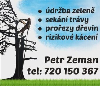 Kácení stromů v Ústeckém kraji