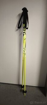 Lyžařské hůlky Arcore 100