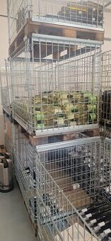 Prodám drátěné koše na víno s paletou