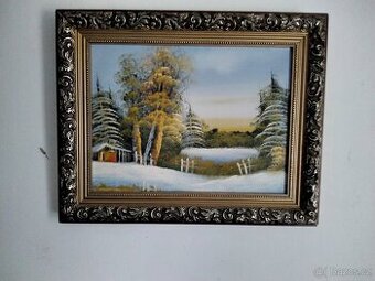 Pěkný  obraz plátno