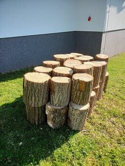 Palivové dřevo-dub