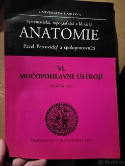 Anatomie Petrovický - 1