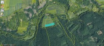 Prodej orné půdy v kú Moravský Krumlov