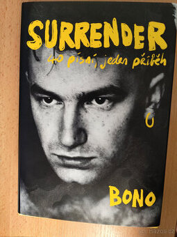 Bono - Surrender