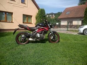 BENELLI BN302S 2019