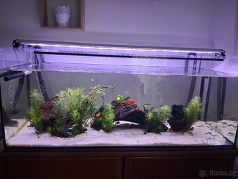 Plně vybavené akvarium