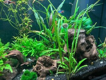 Akvárium Juwel Rio 125l