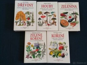 Koření, Zelenina, Houby, Dřeviny - 1
