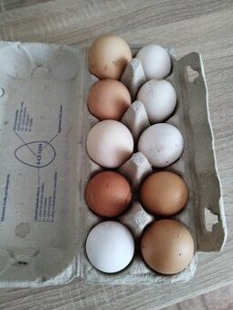 Vejce mix
