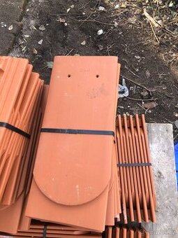 Bobrovky režné na prodej