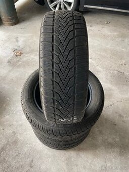 Zimní pneu Semperit Speed Grip 195/55 r16