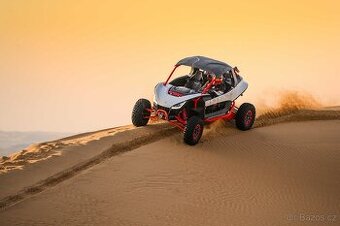 Segway Villain SX10 X diff, T1b