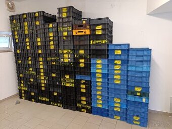 Přepravka plastová nízká