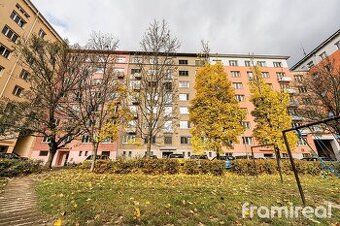 Pronájem, Byty 2+1, 55 m² - Brno - Veveří, ev.č. 02113