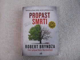 Krimi kniha - Propast smrti / Robert Bryndza - 1
