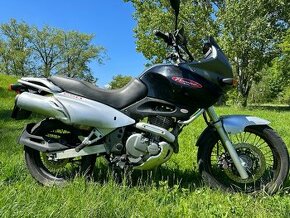 Suzuki XF 650 Freewind 35kw STK na 4 roky