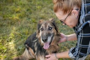ASLÍK - 23 kg, kastrovaný psík 10 let