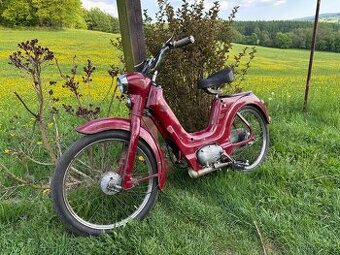Jawetta 551