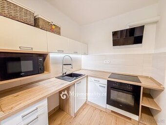 Pronájem vybaveného bytu 1+kk s dvorem, 44 m2, Znojmo, 17. L
