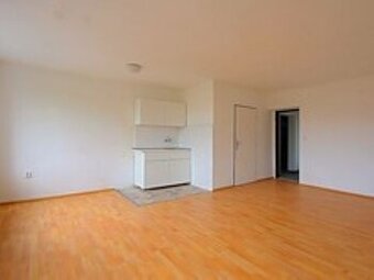 Pronájem bytu 2+1 Lipovec.