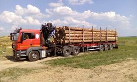 MAN TGS 26.480 Lesovoz - 1