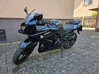 Kawasaki Ninja 250R