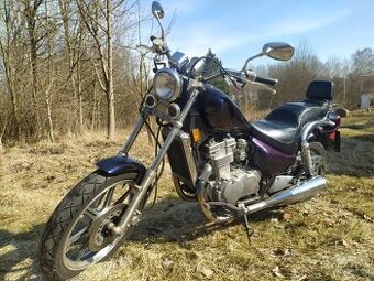 Kawasaki EN 500
