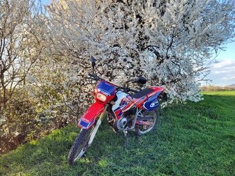 RIEJU RR 50
