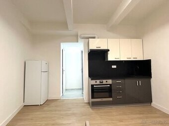 krásný byt 1+kk, 25m2 v ul. Na Bitevní Pláni, Praha 4-Nusle
