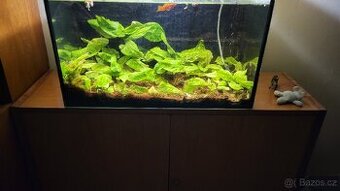 Akvárium 80l