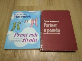 Matoušek: První rok života, Simkinová: Partner u porodu