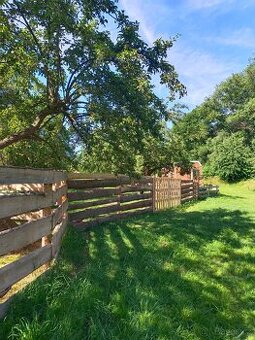 Pronajmu zahradu Strašice u Rokycan. Sad jabloní 1500Kč.