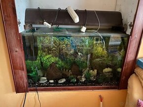 Akvárium 90x56x35 s příslušenstvím