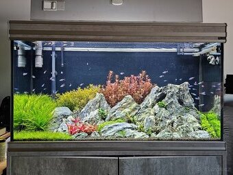 Akvárium Aquatlantis fusion