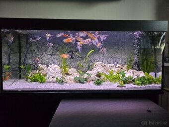 JUWEL akvarijní set Rio 450 LED (450l)